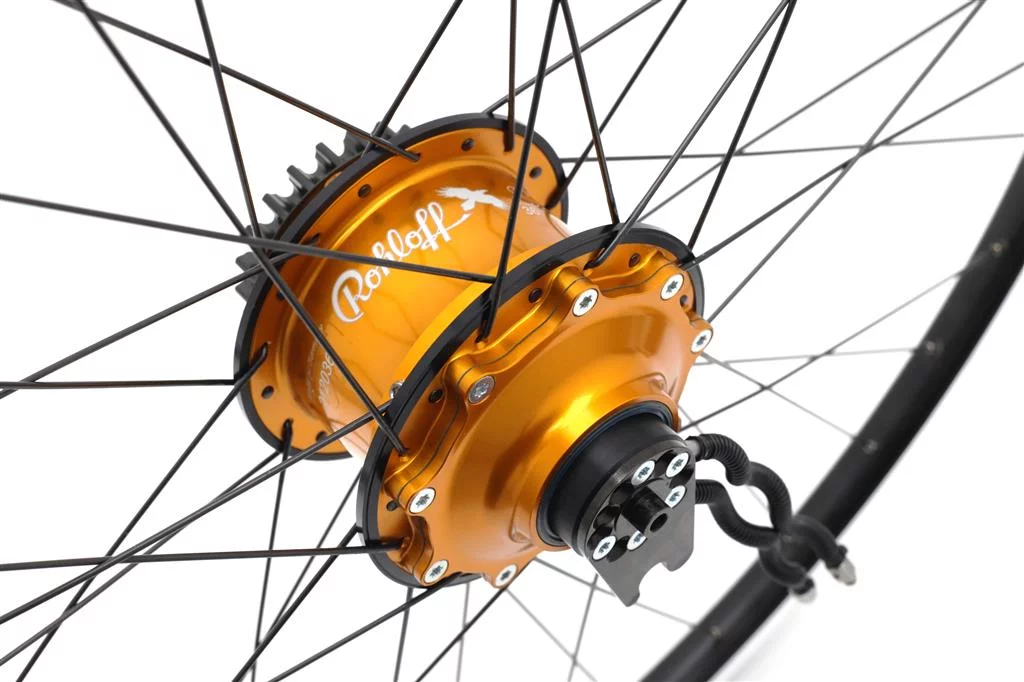 Santos wielen borgringen voor Rohloff