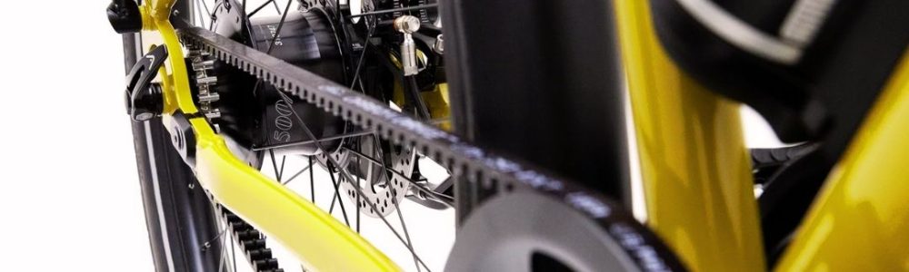 81-Rohloff-basis